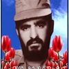 فرانبخش غلامی.jpg